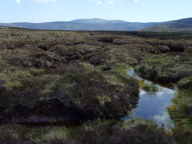 Nancy_blanket bog forest of birse